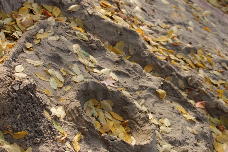 Footprints in Sand — Brown, Calm