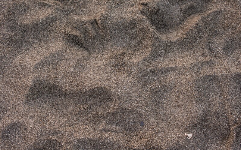 Footprints in Sand — Brown, Neutral