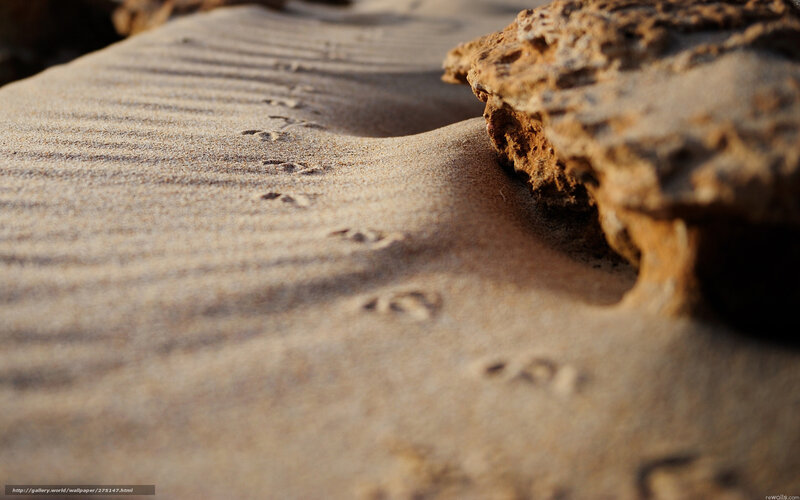 Footprints in Sand — Brown, Serene, Sunset