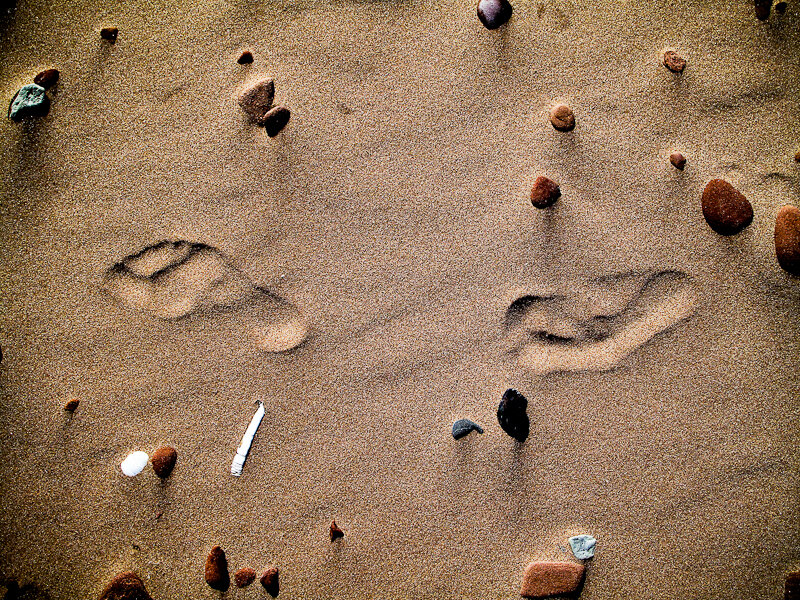Footprints in Sand — Brown