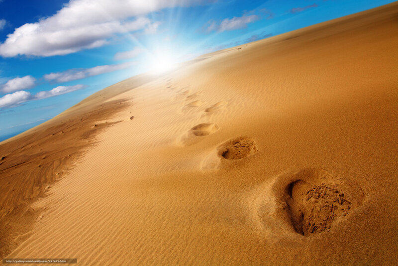 Footprints in Sand Dune