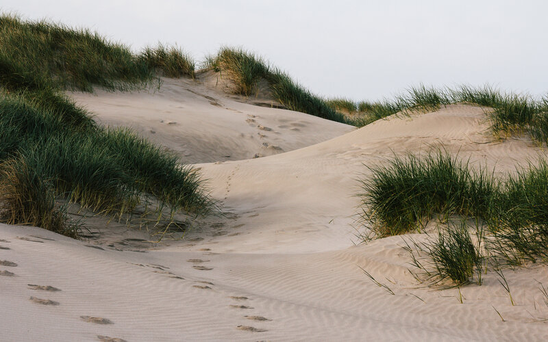 Footprints in Sand Dunes — Beige