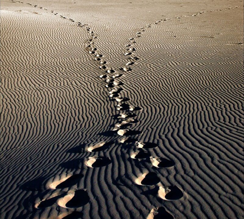 Footprints in Sand Dunes — Brown