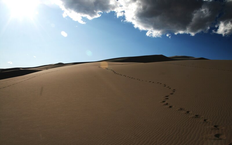 Footprints in Sand Dunes