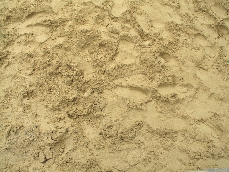 footprints in sand