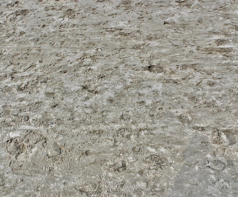 footprints in sandy ground