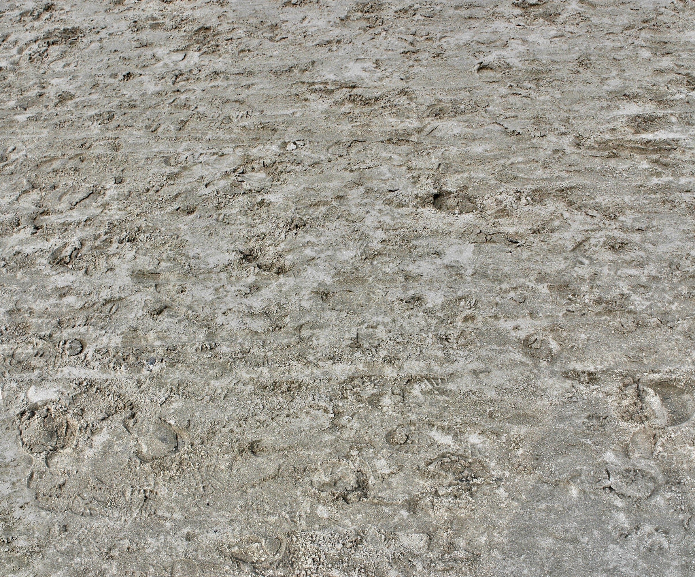 footprints in sandy ground