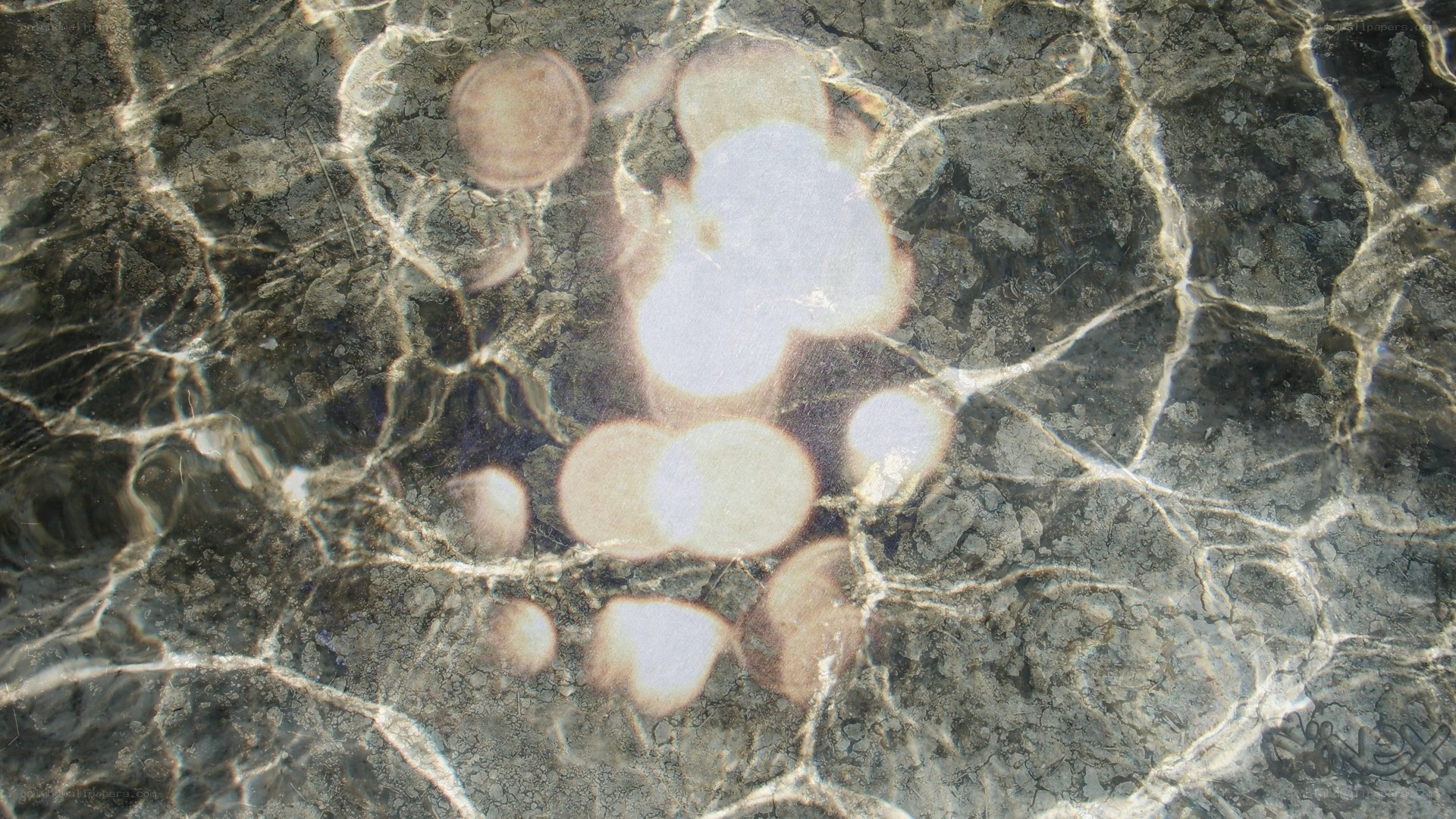 Footprints in shallow water