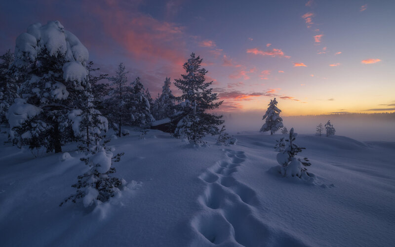 Footprints in Snow — Blue, Serene, Sunset