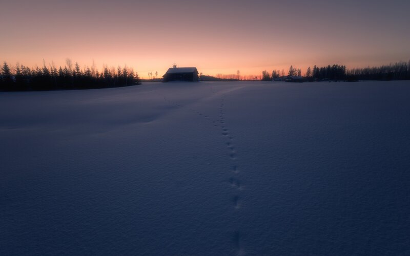 Footprints in Snow — Blue, Serene