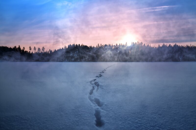 Footprints in Snow — Blue, Serene, Winter