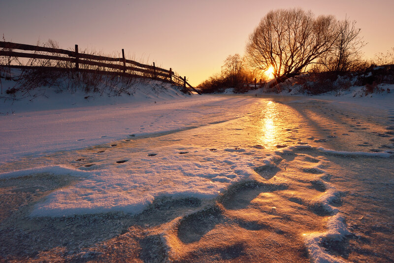 Footprints in Snow — Gold