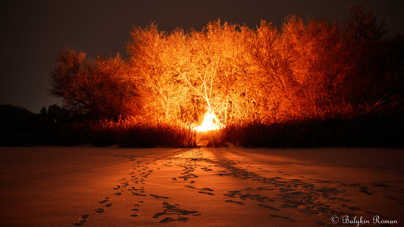 Footprints in Snow — Orange, Dramatic, Night