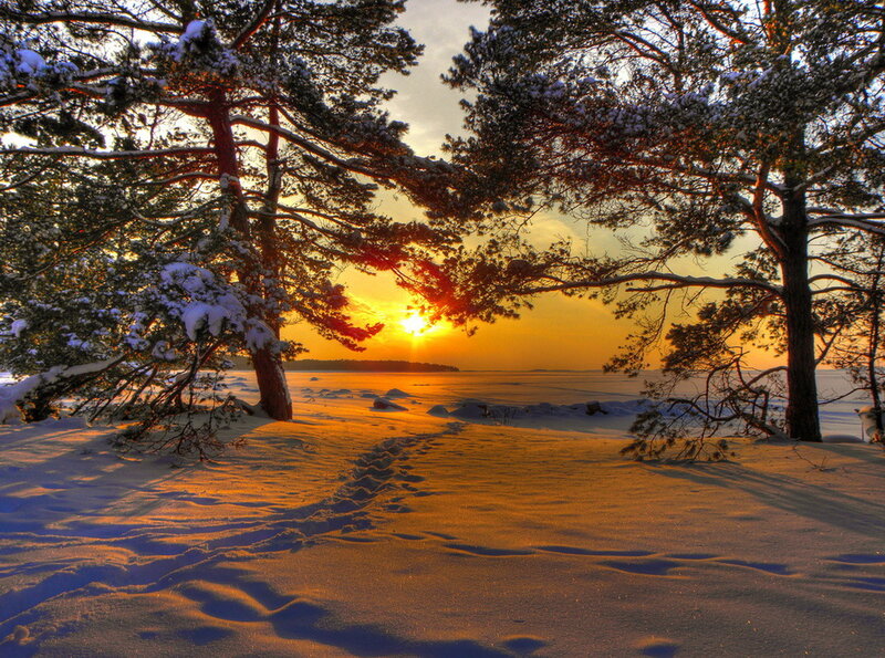 Footprints in Snow — Orange