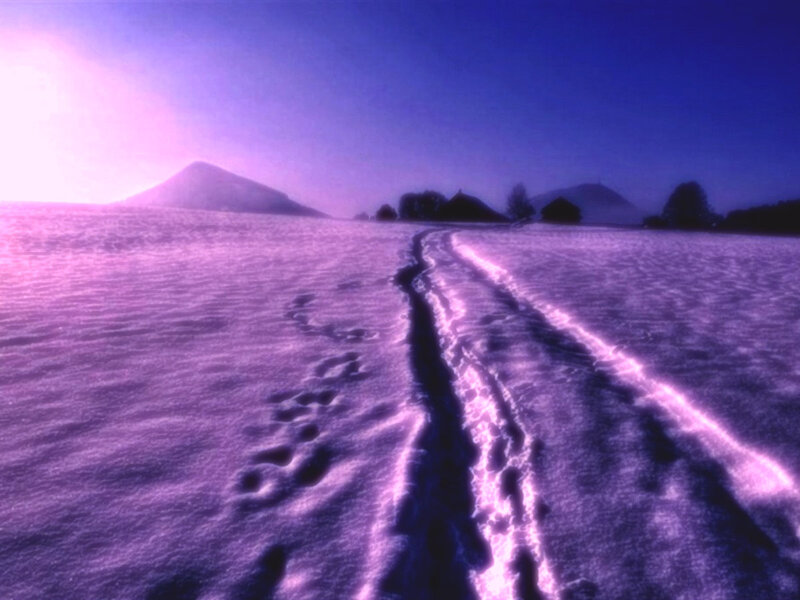 Footprints in Snow — Purple
