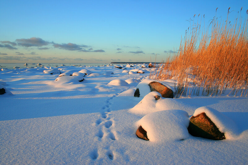 Footprints in Snow