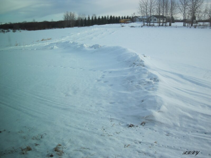 Footprints in Snow — White, Cold, Winter