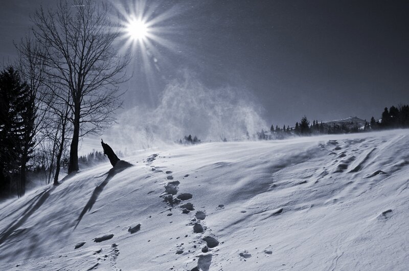 Footprints in Snow — White, Dramatic, Winter