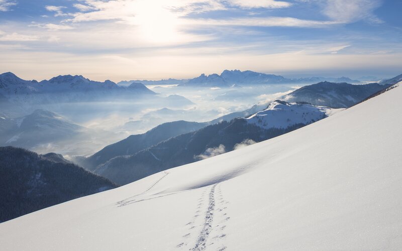 Footprints in Snow — White, Serene, Morning