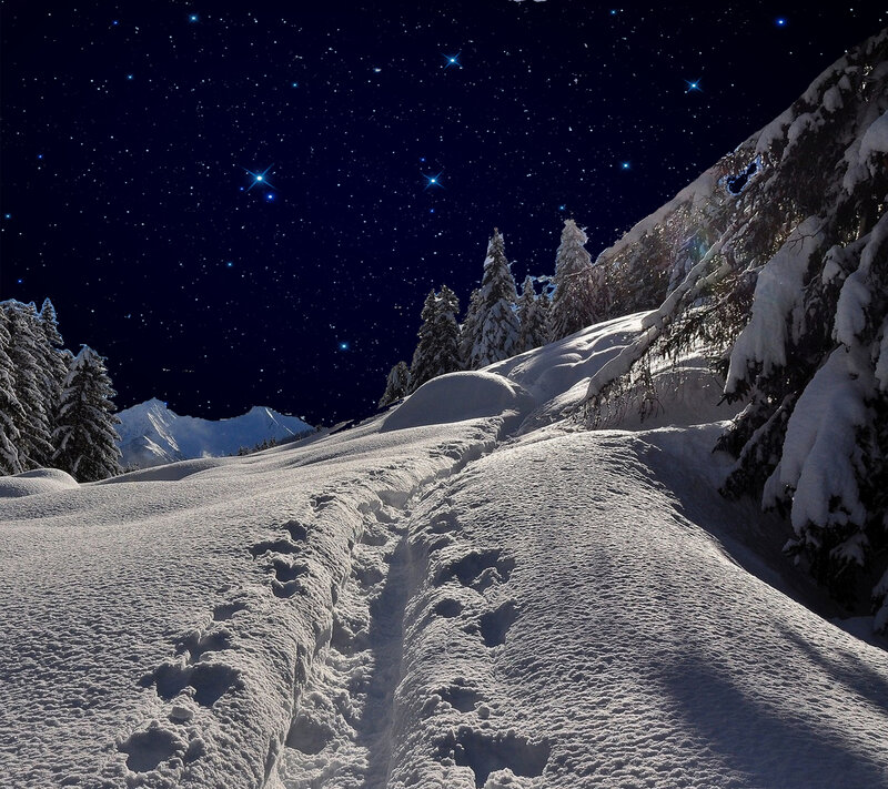Footprints in Snow — White, Serene, Night