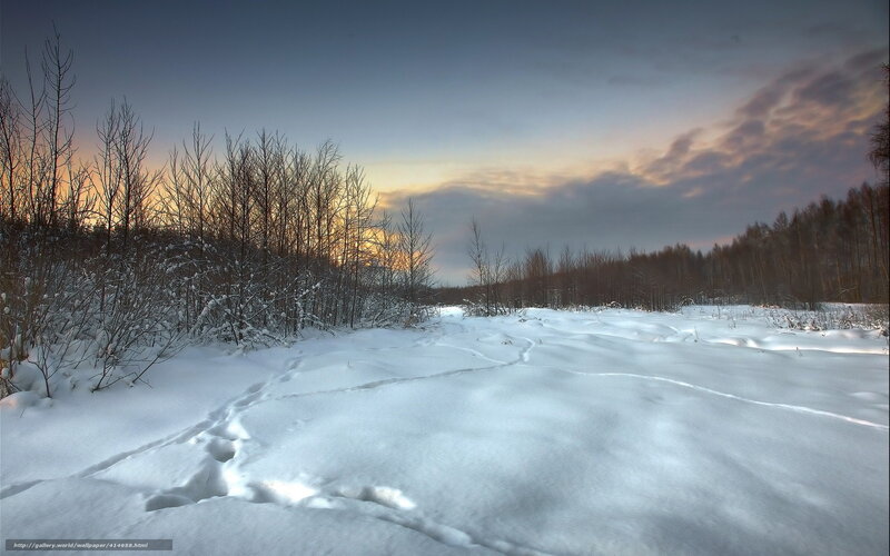 Footprints in Snow — White, Serene, Sunset