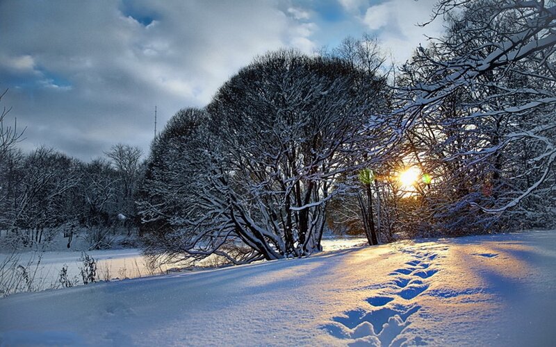 Footprints in Snow — White, Serene