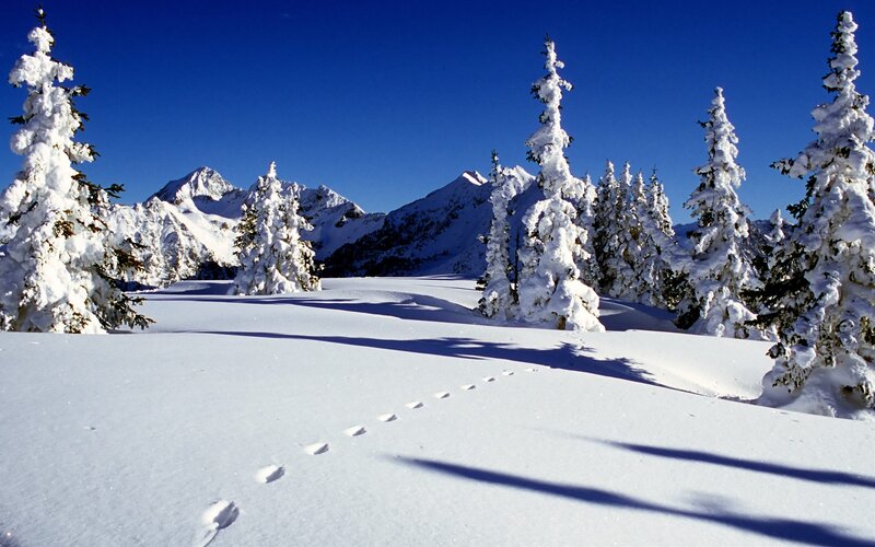 Footprints in Snow — White, Serene, Winter, Photograph, Snow-covered Trees, Mountains, Sky