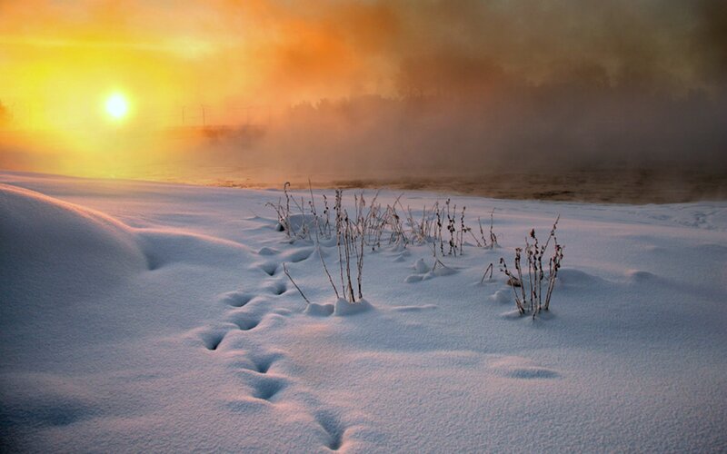 Footprints in Snow — White, Serene, Winter, Photograph, Sun