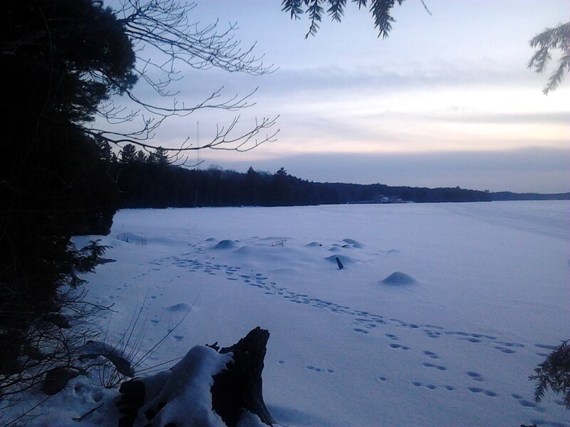 Footprints in Snow — White, Serene, Winter, Photograph