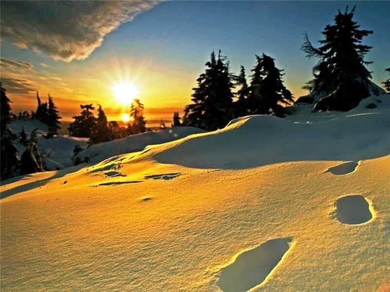 Footprints in Snow — Yellow, Serene