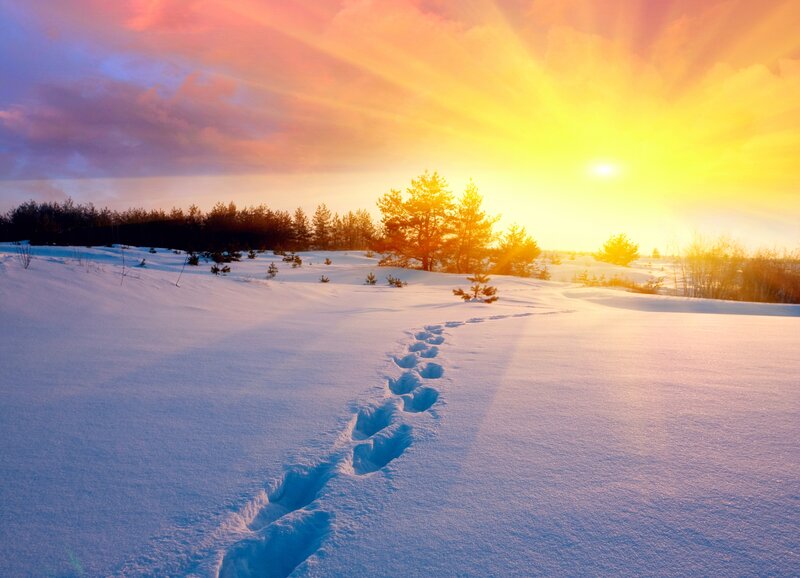 Footprints in Snow — Yellow