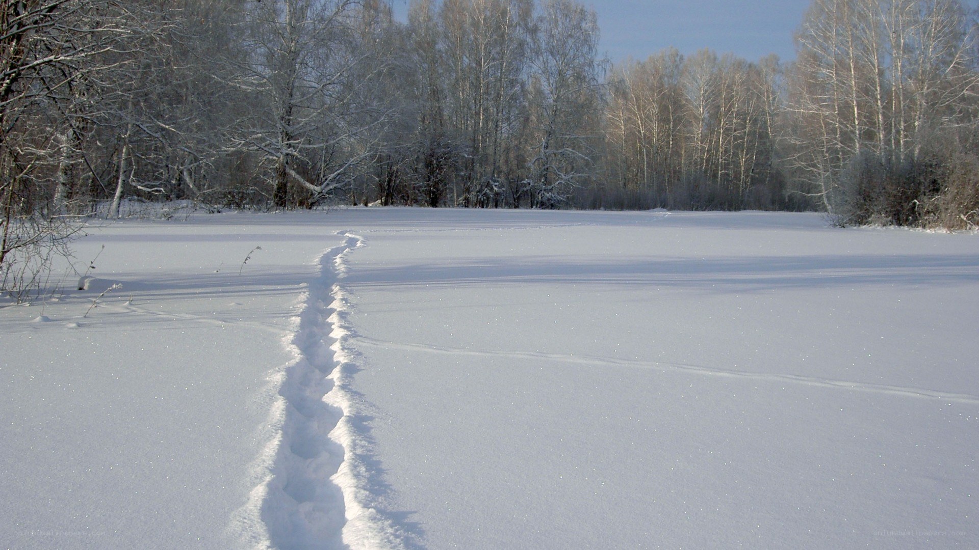 Footprints in snowy field