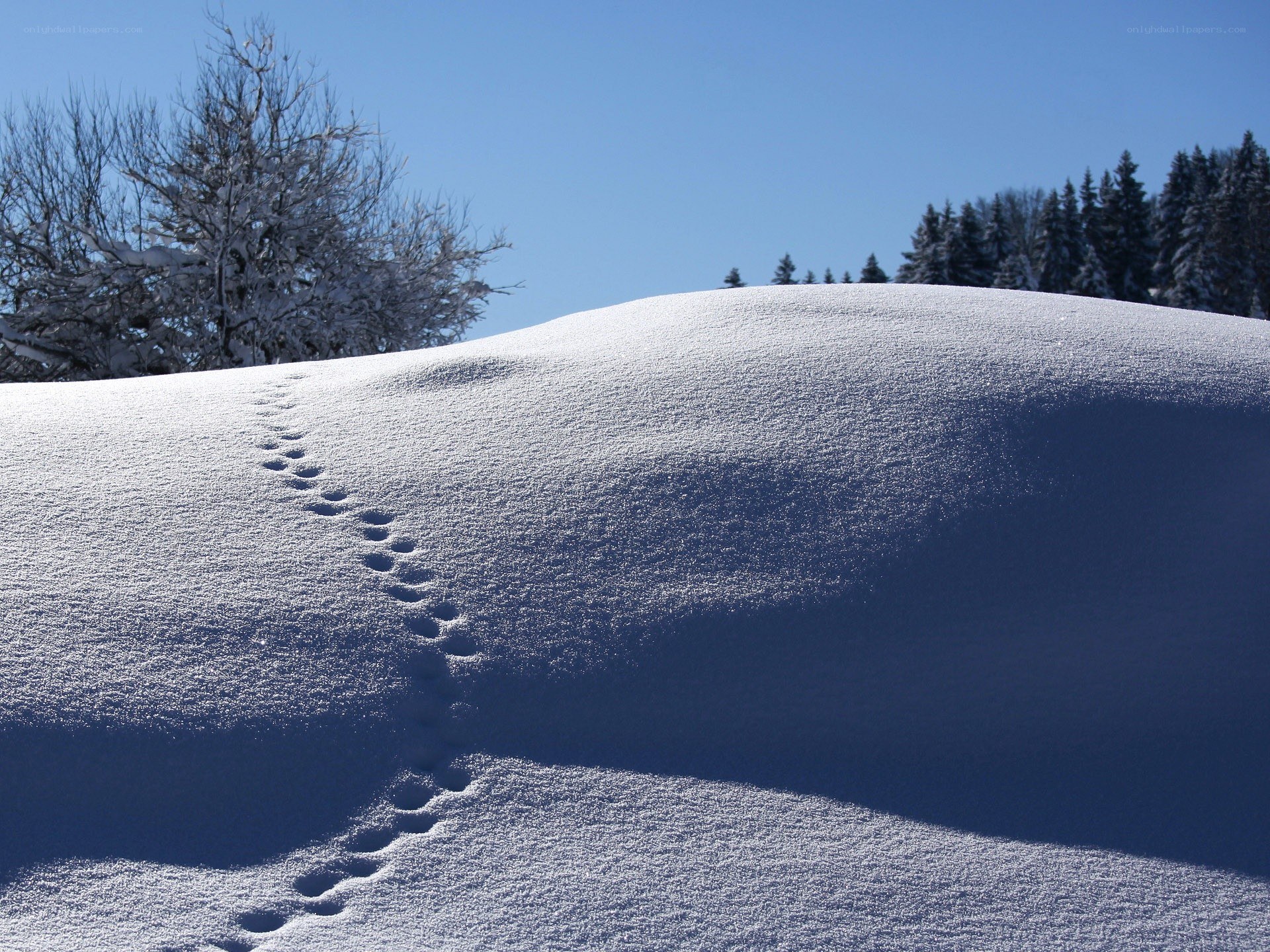Footprints in snowy landscape