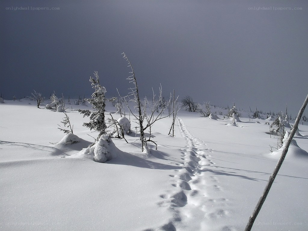 Footprints in snowy landscape