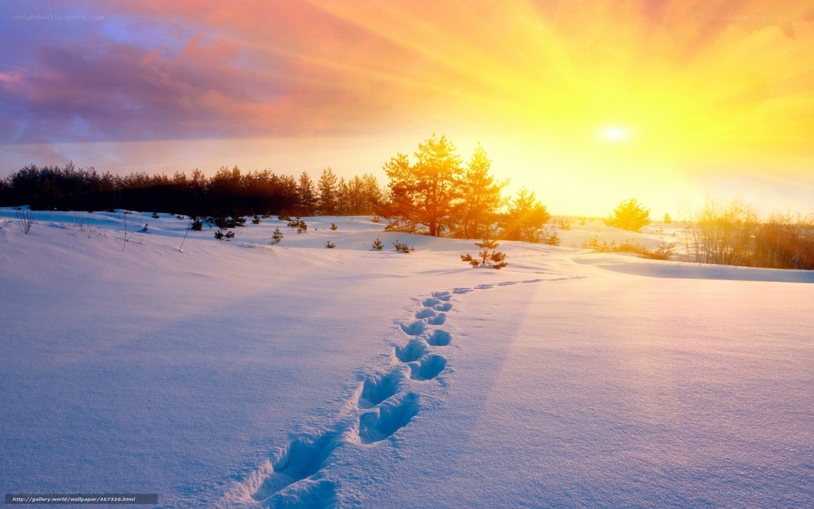 Footprints in snowy landscape