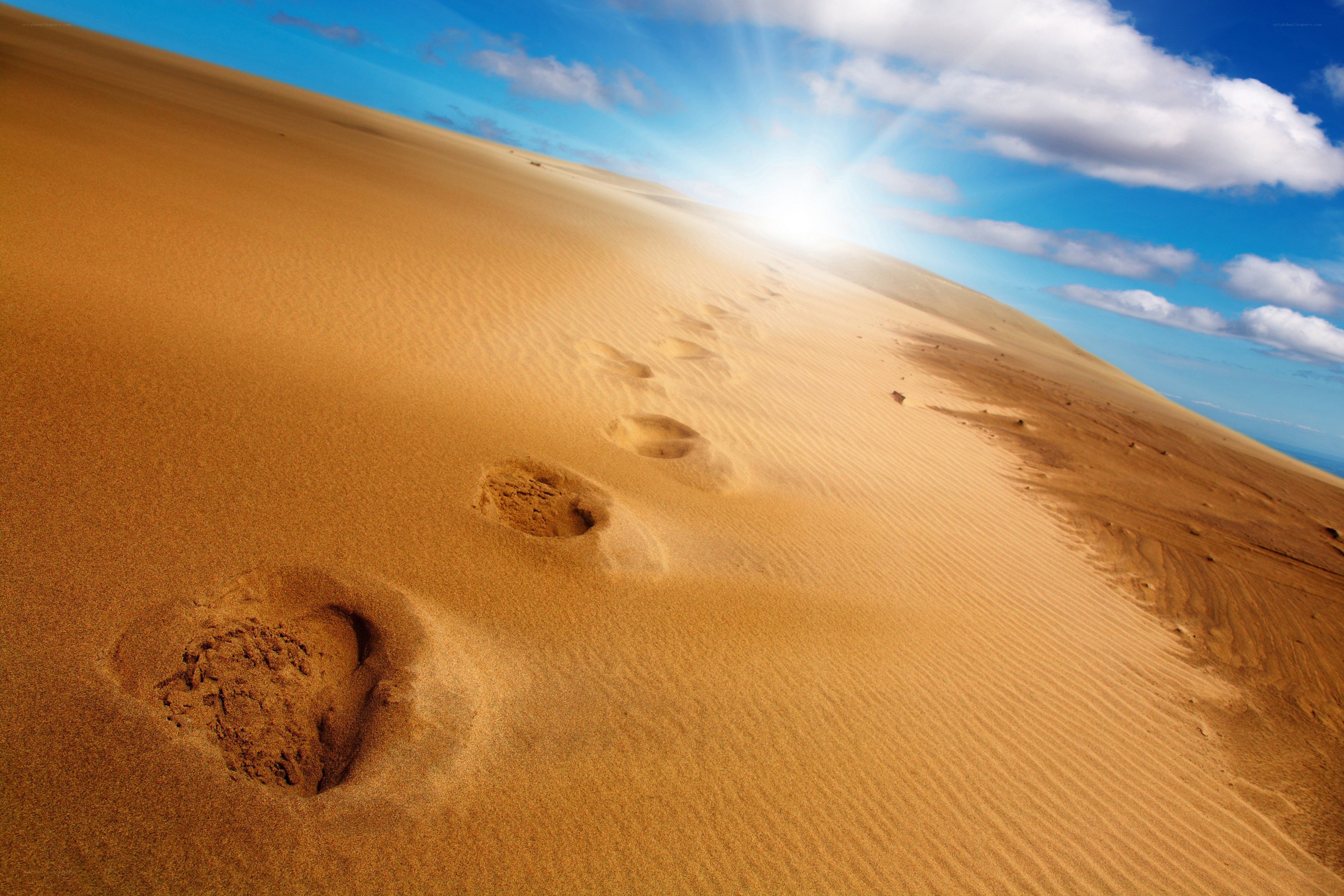 Footprints in the desert sand