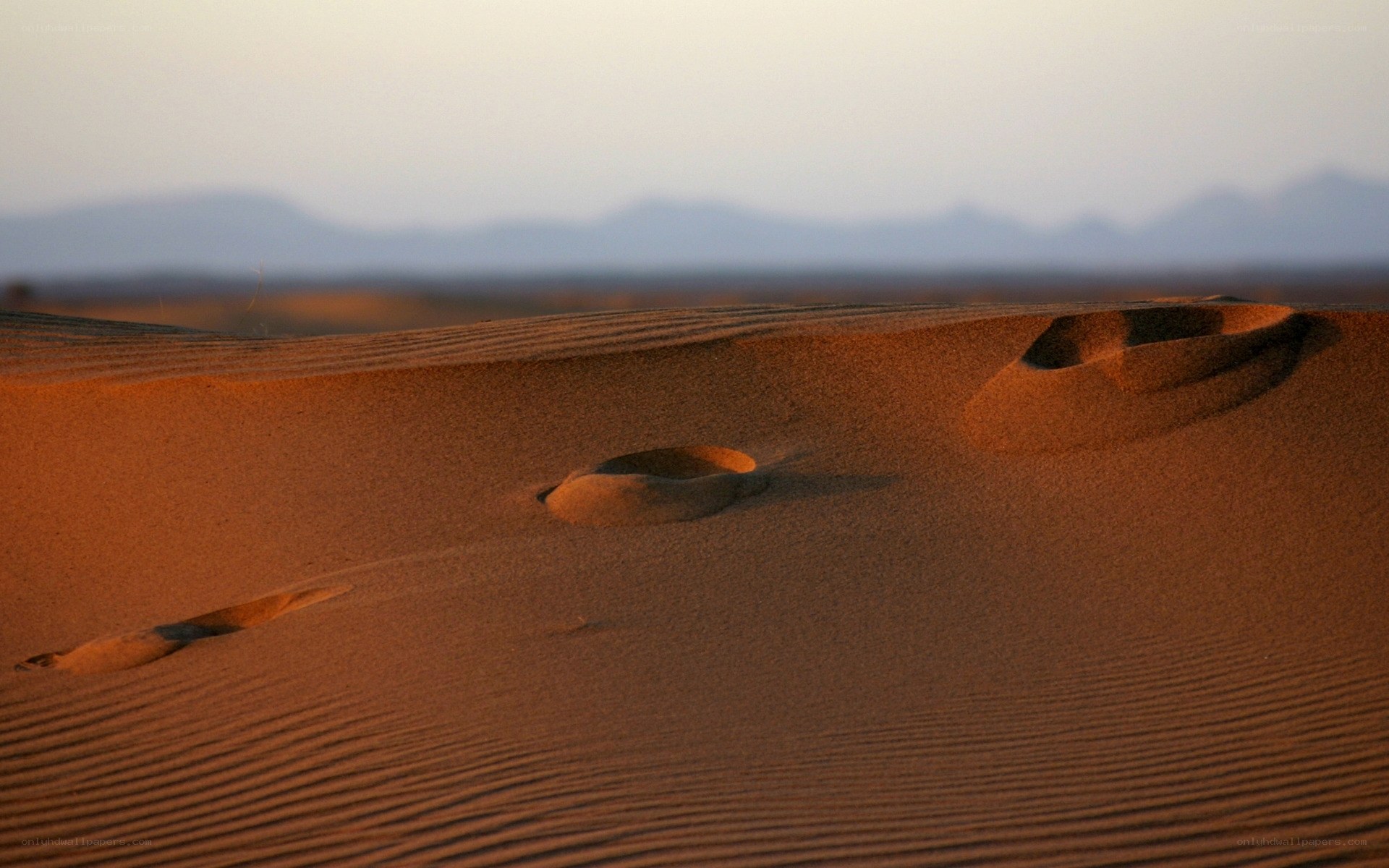 Footprints in the desert sand