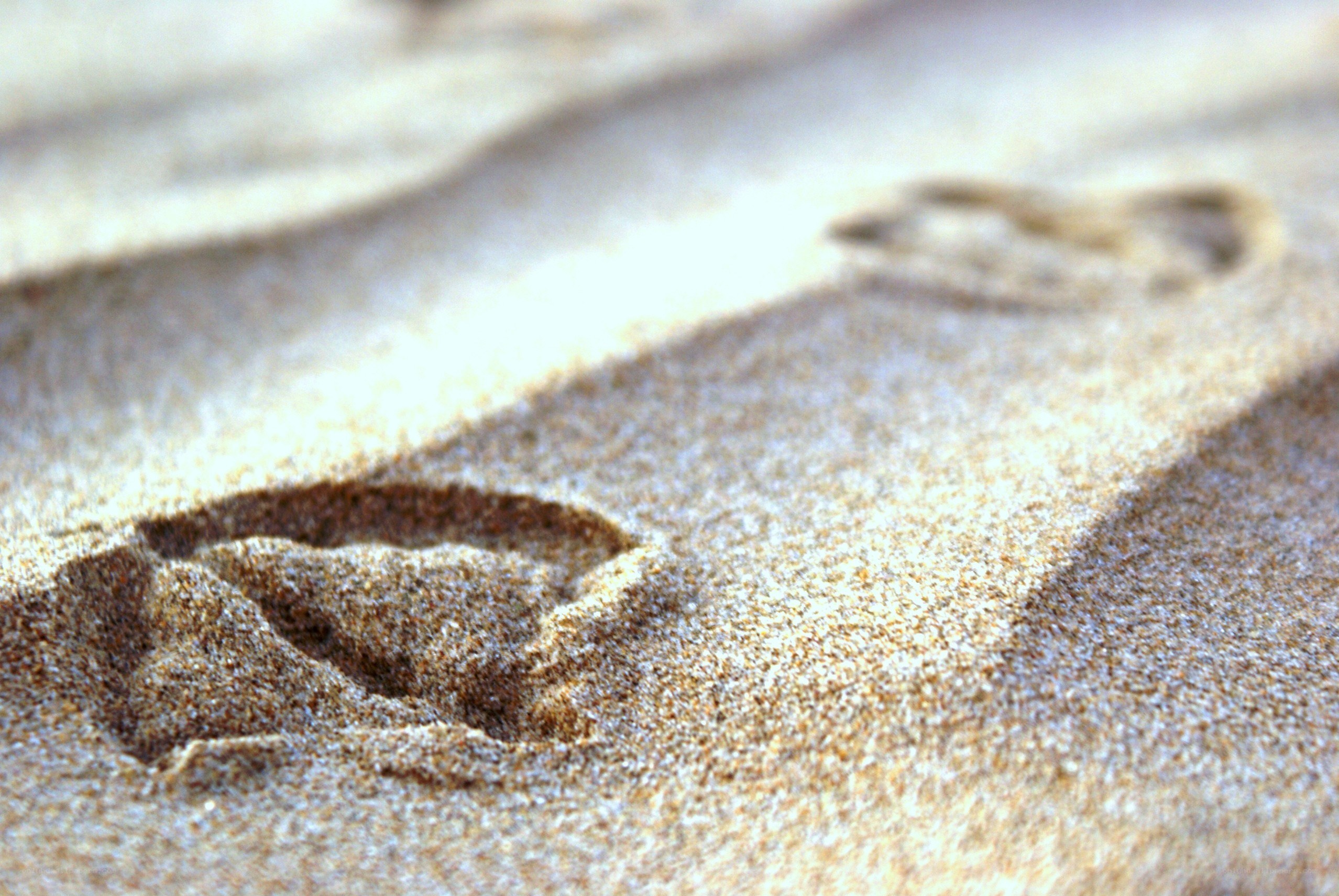 Footprints in the sand