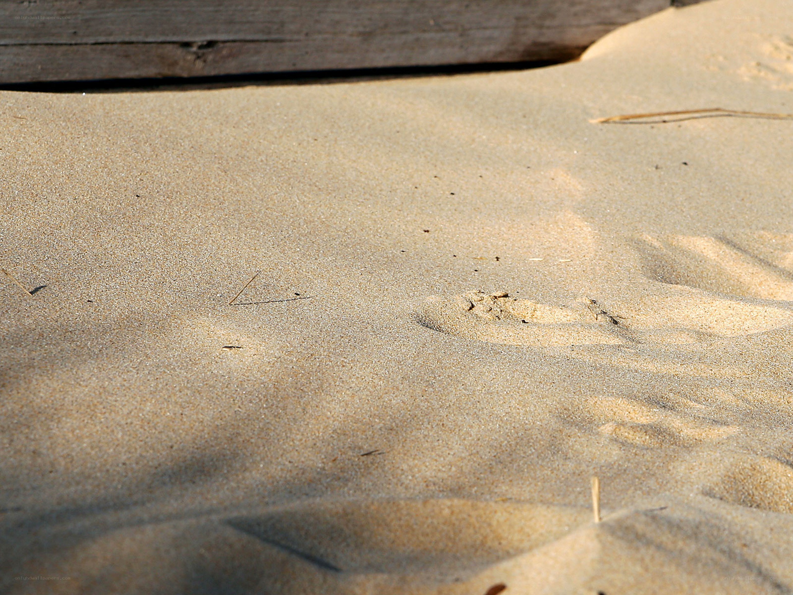 Footprints in the sand