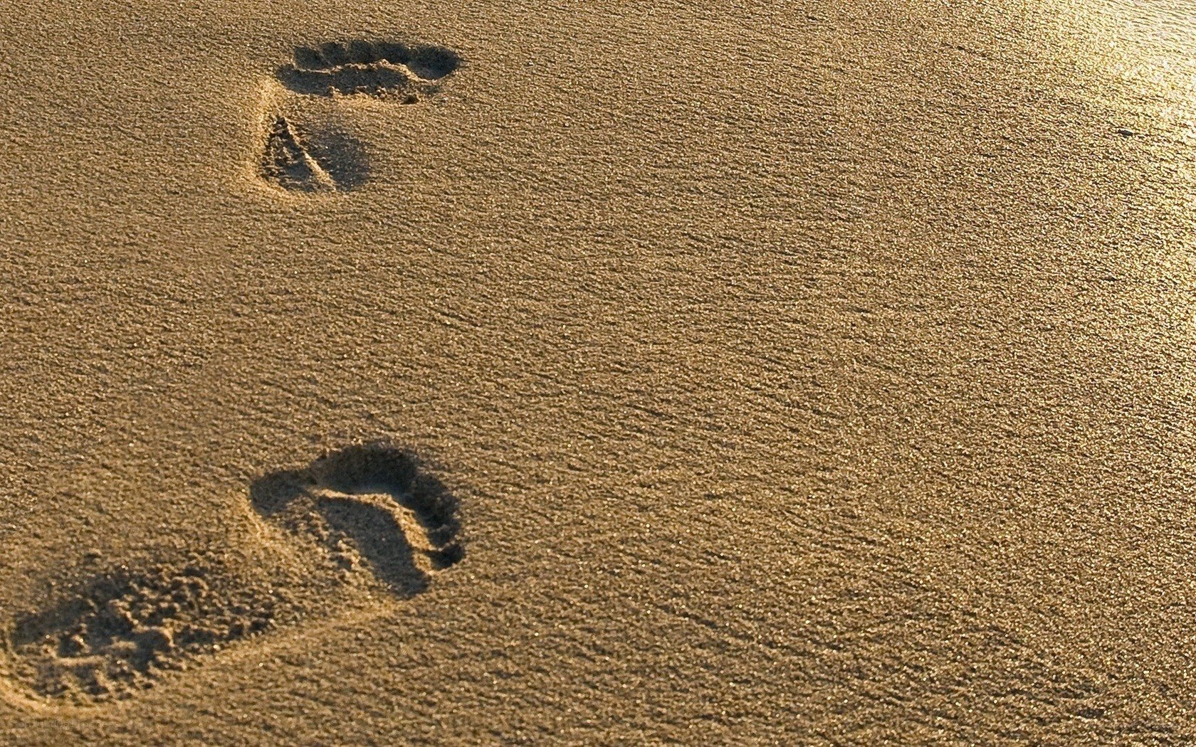 Footprints in the sand