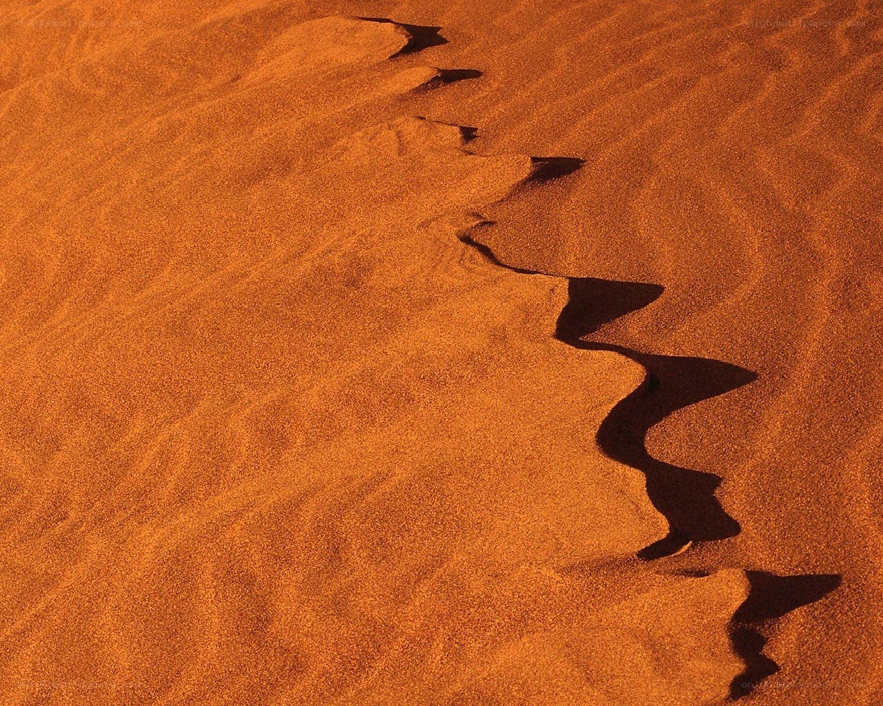 Footprints in the sand
