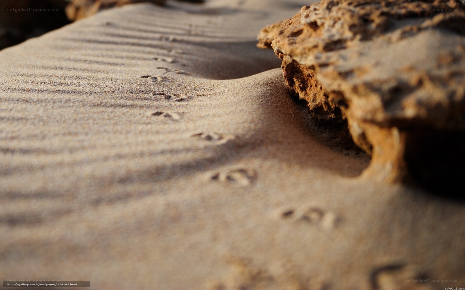 Footprints in the sand