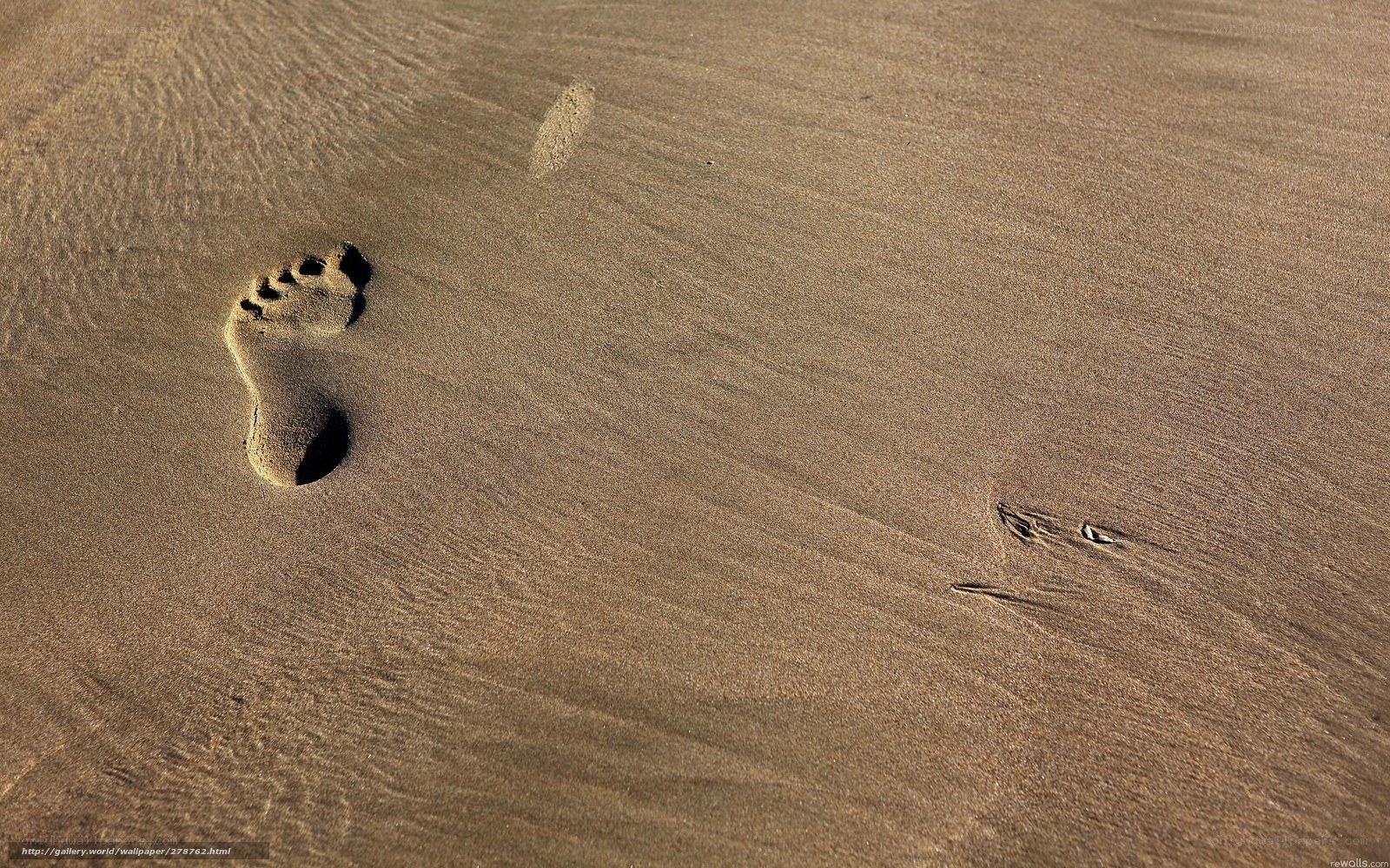Footprints in the sand