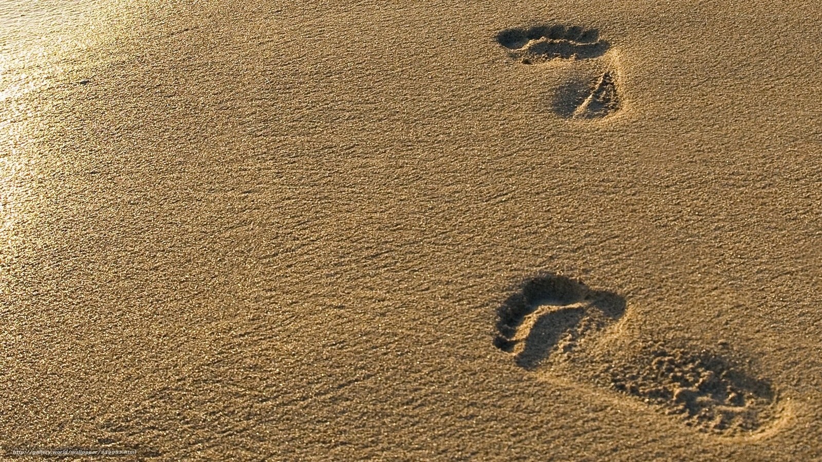 Footprints in the sand