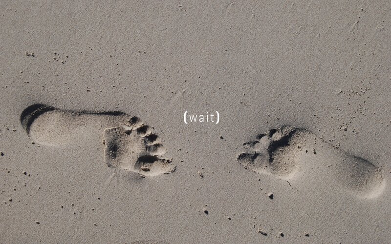 footprints in the sand