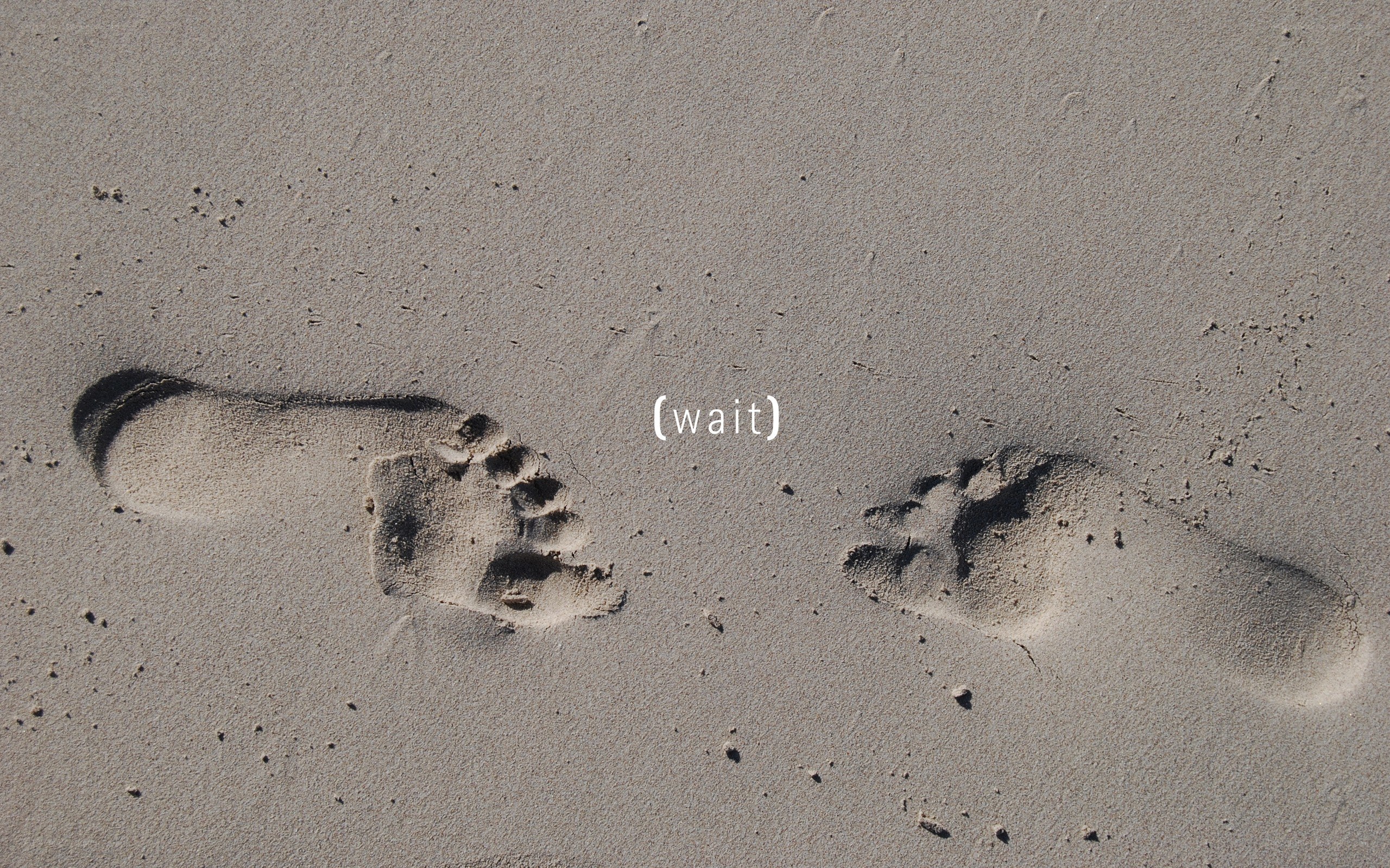 footprints in the sand