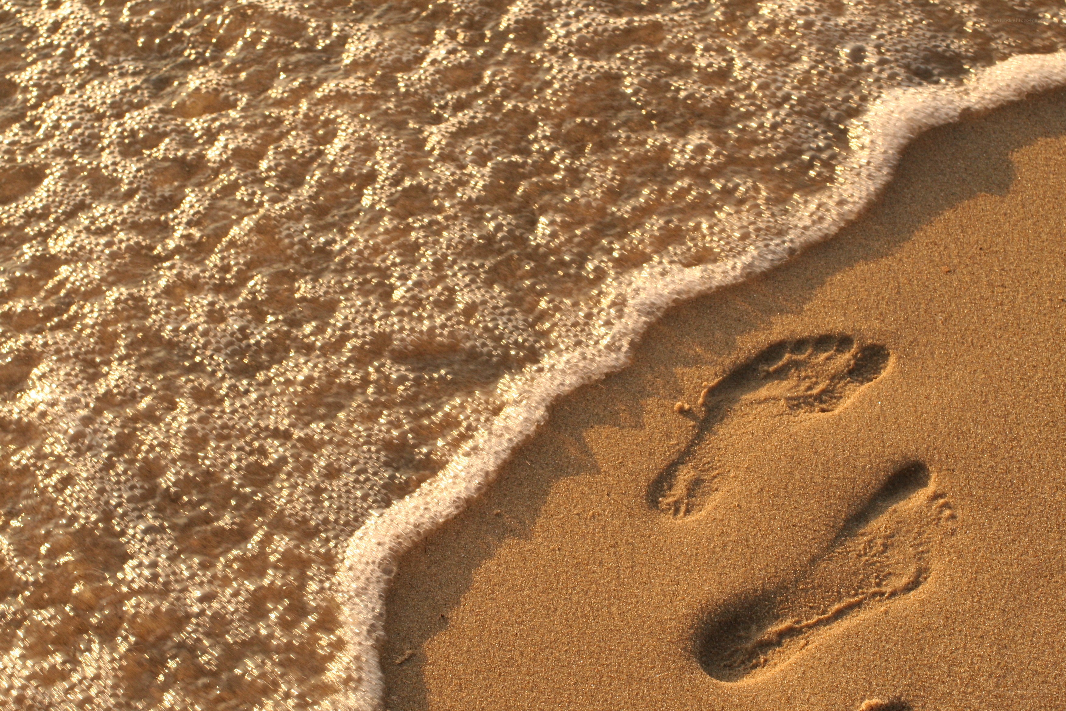 Footprints in the sand at sunset
