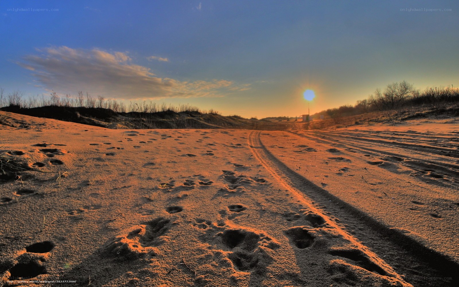 Footprints in the sand at sunset