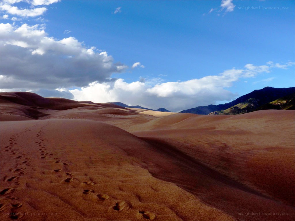 Footprints in the sand dunes