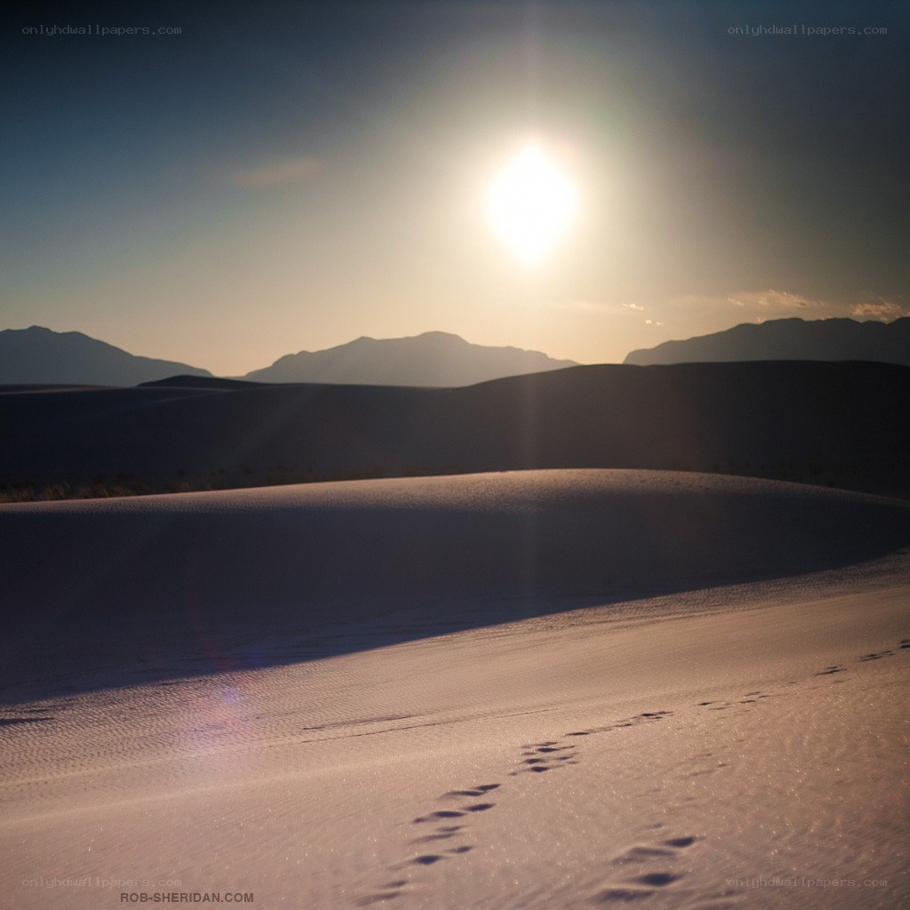 Footprints in the sand dunes